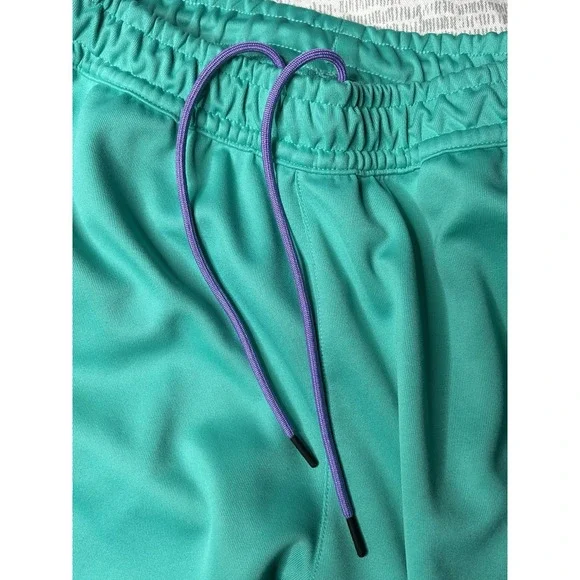 Nike Pants Mens L Teal Have A Nike Day Track Joggers Side Stripe CD8483-317 - Picture 6 of 10